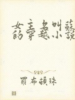 女主名叫苏小小的穿越小说