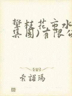 攀枝花市水务(集团)有限公司