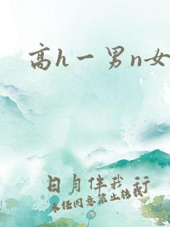 高h一男n女文