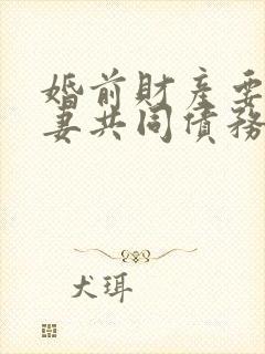 婚前财产要还夫妻共同债务吗