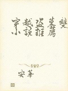 穿越盗墓双男主小说推荐