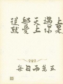 从那天遇上你我就爱上你是什么歌