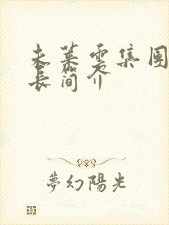 未莱云集团董事长简介