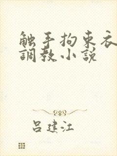 触手拘束衣淫堕调教小说