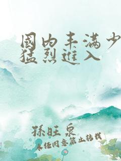 国内丰满少妇被猛烈进入