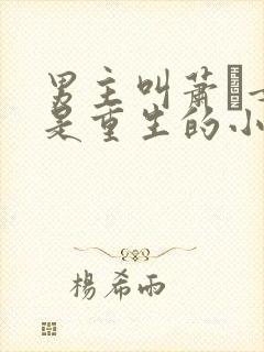 男主叫萧玦女主是重生的小说