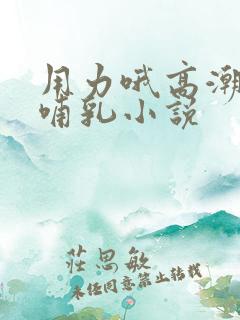 用力哦高潮喷了哺乳小说