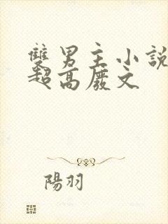 双男主小说车速超高废文