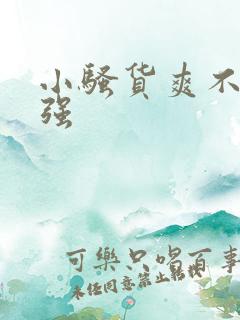 小骚货爽不爽女强