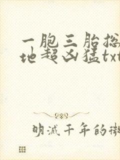 一胞三胎总裁爹地超凶猛txt
