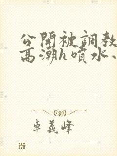 公开被调教当众高潮h喷水小说