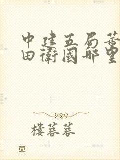 中建五局董事长田卫国哪里人