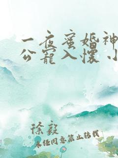 一夜蜜婚神秘老公宠入怀 小说