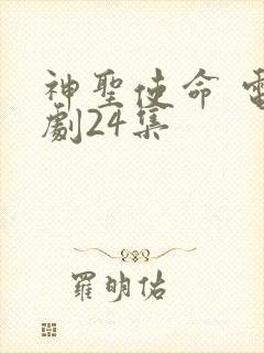 神圣使命 电视剧24集