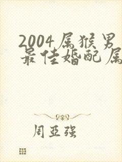 2004属猴男最佳婚配属相