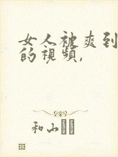 女人被爽到呻吟的视频,