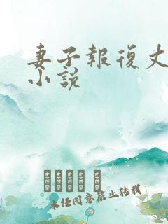 妻子报复丈夫的小说