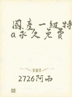 国产一级特黄aa永久免费