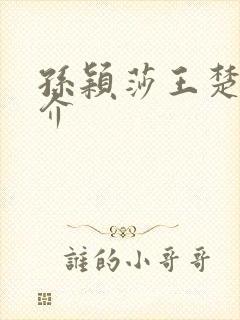 孙颖莎王楚钦简介