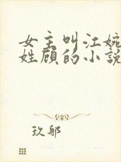 女主叫江婉男主姓顾的小说