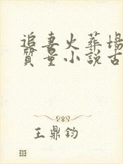 追妻火葬场的高质量小说古言