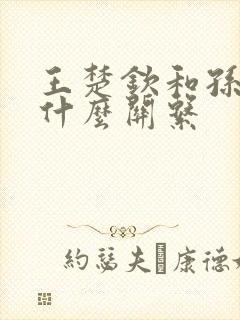 王楚钦和孙颖莎什么关系