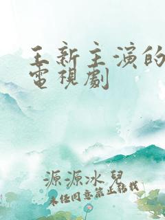 王新主演的全部电视剧