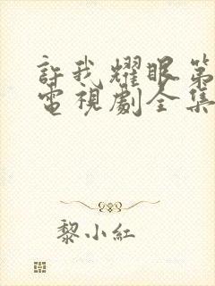 许我耀眼第二季电视剧全集免费观看高清