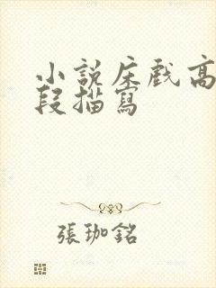 小说床戏高潮片段描写