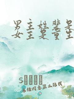 男主姓裴是首辅女主是重生的古言