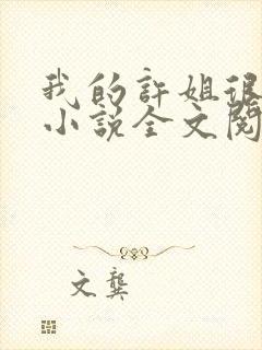 我的许姐很温柔小说全文阅读