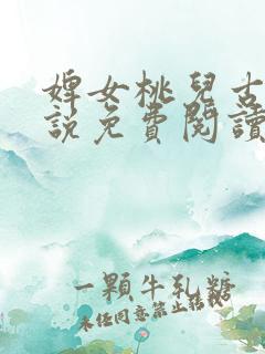 婢女桃儿古代小说免费阅读