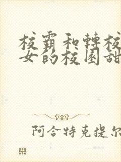 校霸和转校乖乖女的校园甜宠文