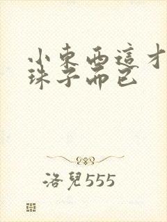 小东西这才一颗珠子而已