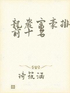 龙岩富豪排行榜前十名