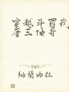 穿越斗罗我成了唐三他哥