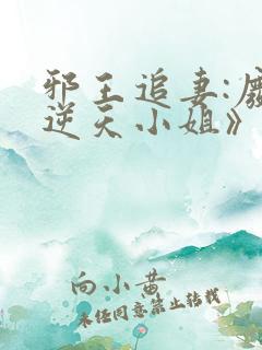 邪王追妻:废材逆天小姐》