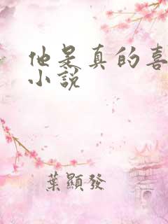 他是真的喜欢你小说