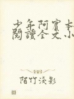 少年阿宾本全文阅读全文小说