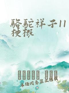 骆驼祥子11章梗概