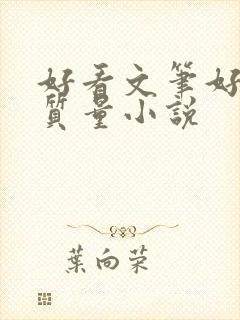 好看文笔好的高质量小说