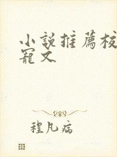 小说推荐校园甜宠文