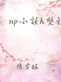 np小说h双性