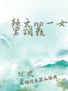 辣文np一女多男调教