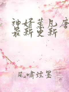 神婿叶凡唐若雪最新更新