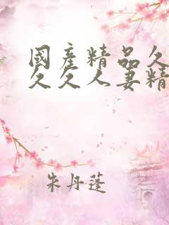 国产精品久久久久久人妻精品