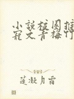 小说校园推荐甜宠文青梅竹马