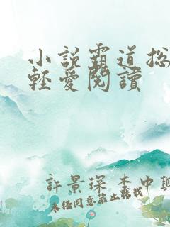 小说霸道总裁轻轻爱阅读