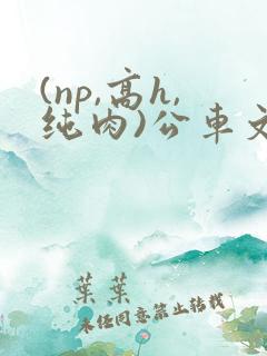 (np,高h,纯肉)公车文