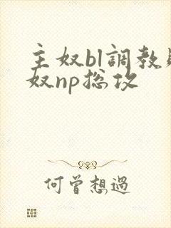 主奴bl调教贱奴np总攻